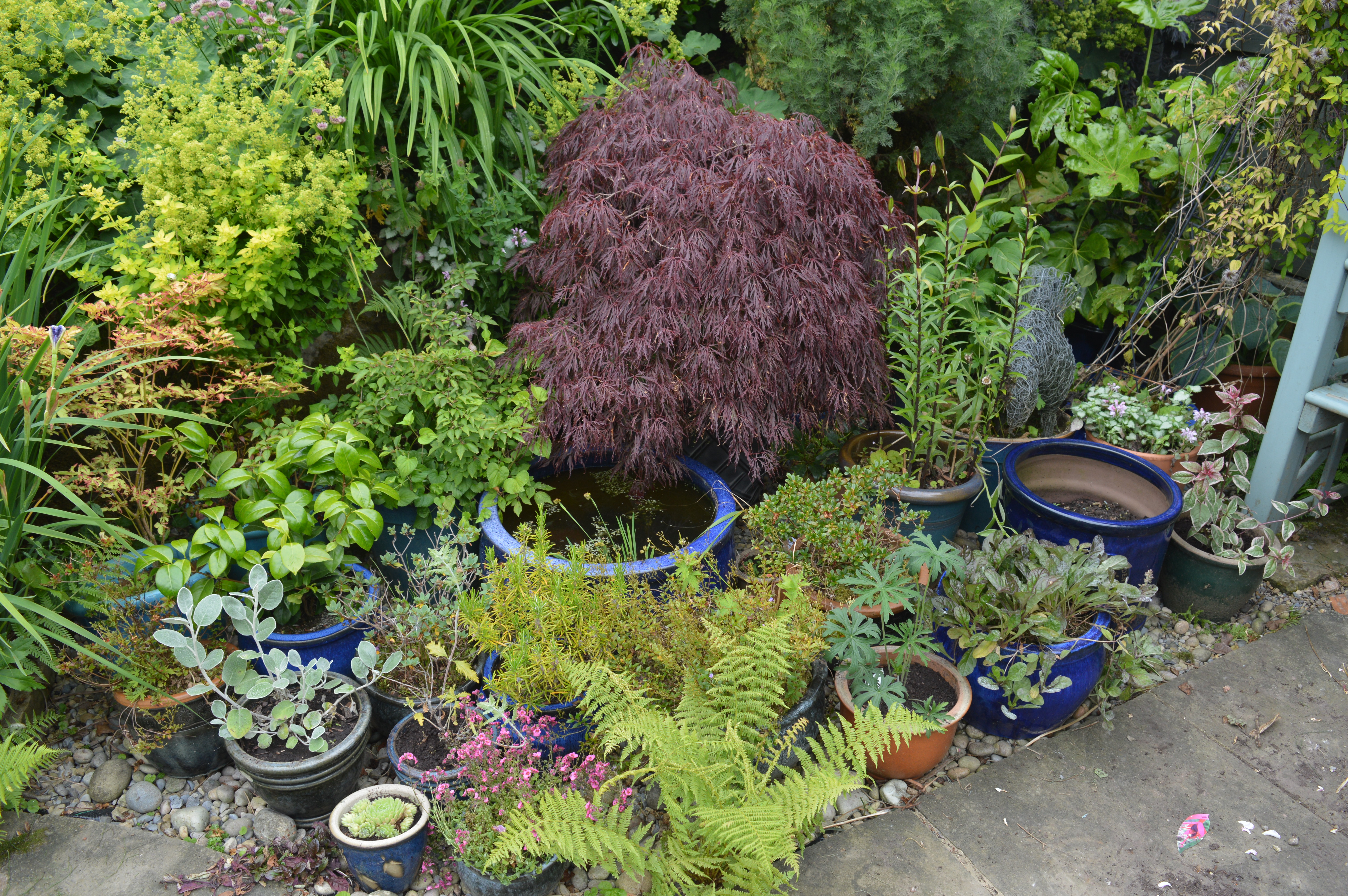 garden pots display
